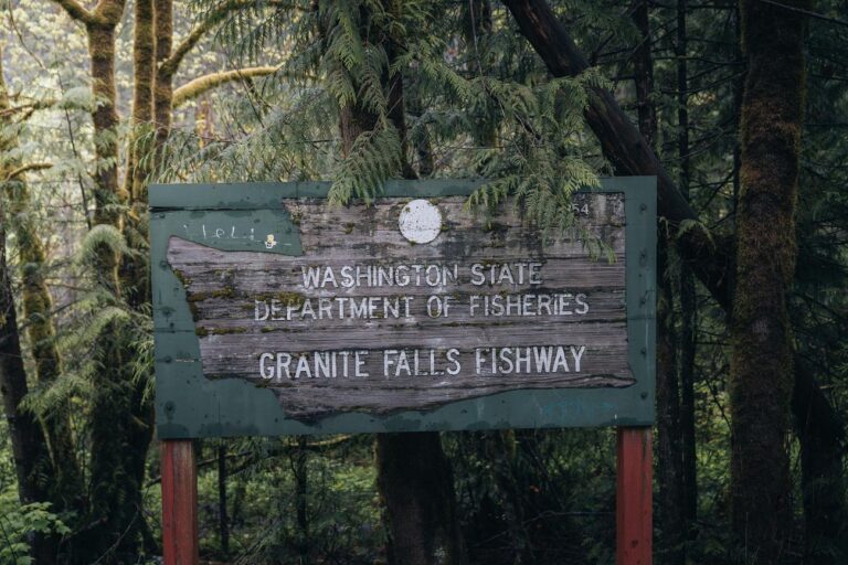 Granite Falls Fish Ladder: Preserving Fish MiGranite Falls Fish Ladder: Preserving Fish Migration and Ecologygration and Ecology